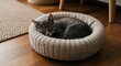 © fotorekon - Cozy Sleep: Adorable Grey Tabby Kitten Napping in a Soft Knitted Pet Bed on Hardwood Floor