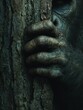 © Johannes - hairy bigfoot creature hands grip textured tree bark in shadowy forest mysterious elusive primate hides among dense trees evoking wilderness survival and jungle adventure