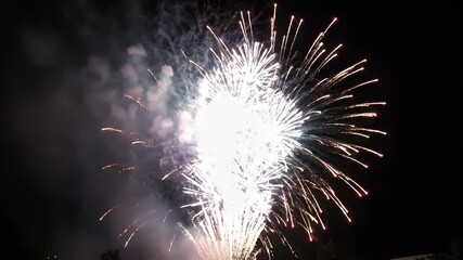 Dynamic firework display exploding against dark night sky background