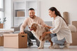 © Pixel-Shot - Young couple with box and Australian Shepherd dog in room on moving day