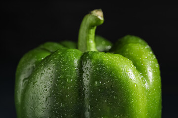 Wall Mural - Green bell pepper on black background, closeup