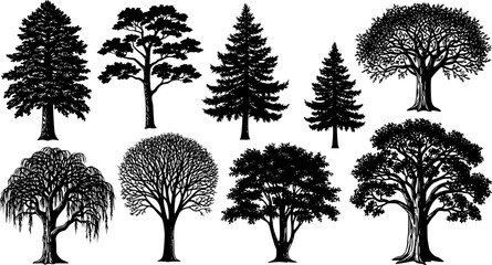 Wall Mural - highly detailed tree silhouette set
