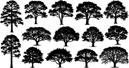 Wall Mural - highly detailed tree silhouette set

