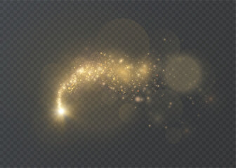 Canvas Print - golden magic comet with many sparkling dust particles and shimmering light effects. vector light eff