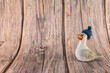 © animalfocus - Kleine Möwe mit Pudelmütze bei Holzwand
