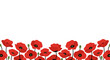 © Tatiana - Red poppy flowers in a decorative border design on transparent background