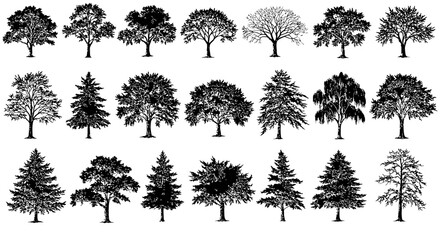 tree silhouette different trees shapes in a graphic illustration for landscape design depicting natures diversity and adaptability ideal for educational resource or background.
