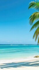 Wall Mural - A serene beach scene with palm trees and the ocean in the background, perfect for a relaxing vacation or travel brochure
