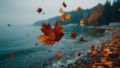 a single, vibrant autumn leaf floats over a lake shore, surrounded by falling leaves