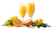 © SUHEL AHMED - Two glasses of mimosa cocktail with orange fruit and flower isolated on transparent background, perfect for brunch or celebration
