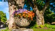© Chocolate - Colorful flower planter under a large tree.