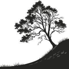  hill