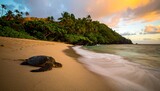 Turtle on a tropical beach at sunrise