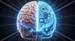 © Rumah - The confluence of human intellect and algorithmic capability visualized as a divided cerebral organ highlighting the partnership between cognition and artificial intelligence, representing the