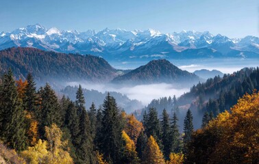 Wall Mural - fall season
