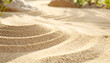 © Johnny - macro shot of a natural sandarium in a sunny backyard, layered sand/gravel, small footprints, clean composition, soft morning light, high detail, no text, no logos