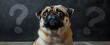 © Thai - Cute pug dog looking inquisitive with an expressive face, reflecting curiosity and the idea of pondering life’s mysteries or unanswered questions in a humorous and charming way.