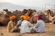 © KingKongThePitbull - Camel traders sitting at Pushkar livestock fair