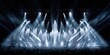 © Ruslana - The spectacular display of lighting effects at a vibrant concert stage.
