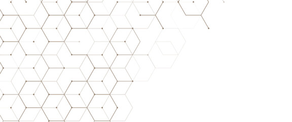 Wall Mural - vector digital hexagonal background geometric abstraction with lines and dots