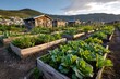 © Archibalttttt - Community garden flourishing with crops and sheds in mountain town