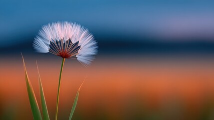 Wall Mural - A single white flower with a stem and leaves