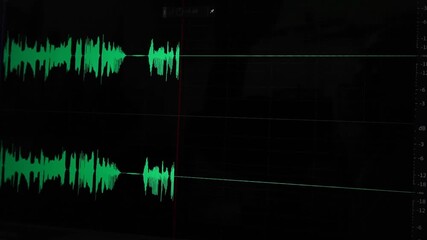 Waveform display during the sound recording process, with audio editing software generating dynamic audio waves.