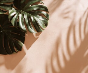 Wall Mural - Monstera Plant Leaves Casting Shadows on Textured Wall, Tropical Aesthetics and Minimalist Style, Copy Space