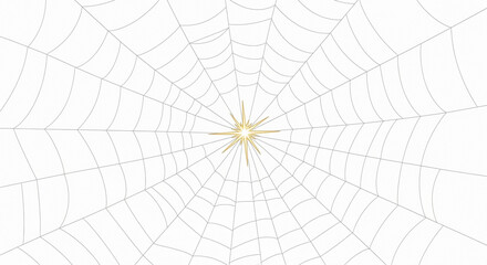 A detailed, symmetrical spider web with a bright, star-like center against a white background.
