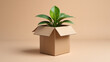 © Bockthier - Vibrant green plant seedling emerging from an open cardboard box. A powerful symbol of growth, sustainability, eco-friendly packaging, and new beginnings