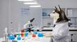 © Len_mik - Husky dog in laboratory coat sitting at science desk with microscope and colorful beakers. Husky dog as scientist conducting experiments among glassware filled with blue and red liquids.