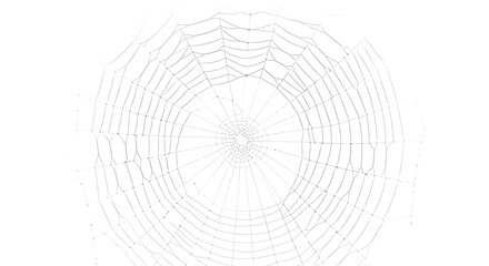 Realistic spiderweb cutout illustration