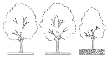 Black and white illustration showcasing different stylized tree drawings in simple line art