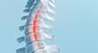 © wilson - Vivid medical illustration of spine with red highlighted pain area on blue background focusing on lower back region for diagnostic or educational concepts