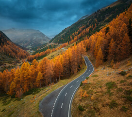 Wall Mural - aerial view of winding road in swiss alps, switzerland. bright orange larch forest in vibrant autumn
