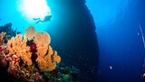 A diver explores a vibrant underwater world, surrounded by colorful coral and deep blue ocean.