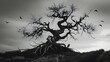 © AsrafulIslam - A haunting black and white cinematic tree with twisted branches and roots silhouetted against a cloudy sky in dramatic contrast.