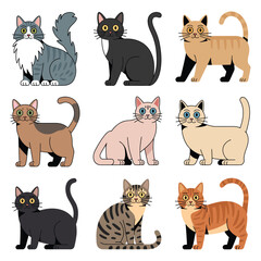  Vector Set of Different Cat Breeds – Flat Style Cute Pet Kittens Collection Isolated on White Background for Animal Design, Kids Illustration, and Domestic Pet Projects