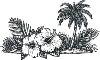 Black and white sketch of tropical hibiscus flowers and palm trees on a white background