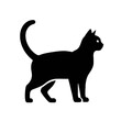 © Afaq - black cat silhouette.