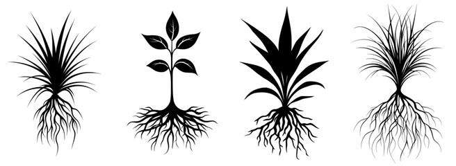 Modern art illustration featuring a pepper plant with roots in silhouette