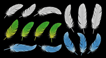Wall Mural - Collection of Colorful Bird Feathers  Green, Blue, White Feather Illustrations