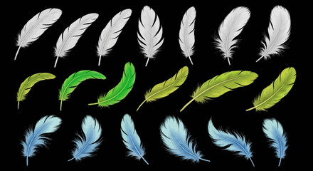 Wall Mural - Elegant Feather Collection White, Green, and Blue Plumage on Black Background