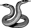 © MS - Illustration of a two headed snake coiled with its tongues out in a detailed black and white design