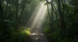 © Muchlis Nugroho - Mystical Forest Path: Sunbeams Illuminate Lush Jungle Trail