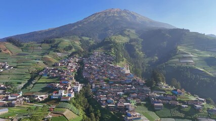 Wall Mural - Aerial panorama of highland farming village, with rows of crops and colorful rooftops blending into the mountain landscape under clear morning light. Nepal Van Java, Indonesia.
