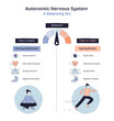 © VectorMine - Autonomic nervous system balance is shown with a gauge, calm and active figures, and organ icons to illustrate rest vs, transparent background. stress. Doodle style diagram
