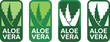 © Rohan - Set of four green and white aloe vera product labels with stylized plant illustrations