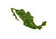 © VickiR - Isolated Green Mexico Map Illustration with Transparent Background