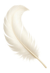 Wall Mural - swan feather with elegant curve